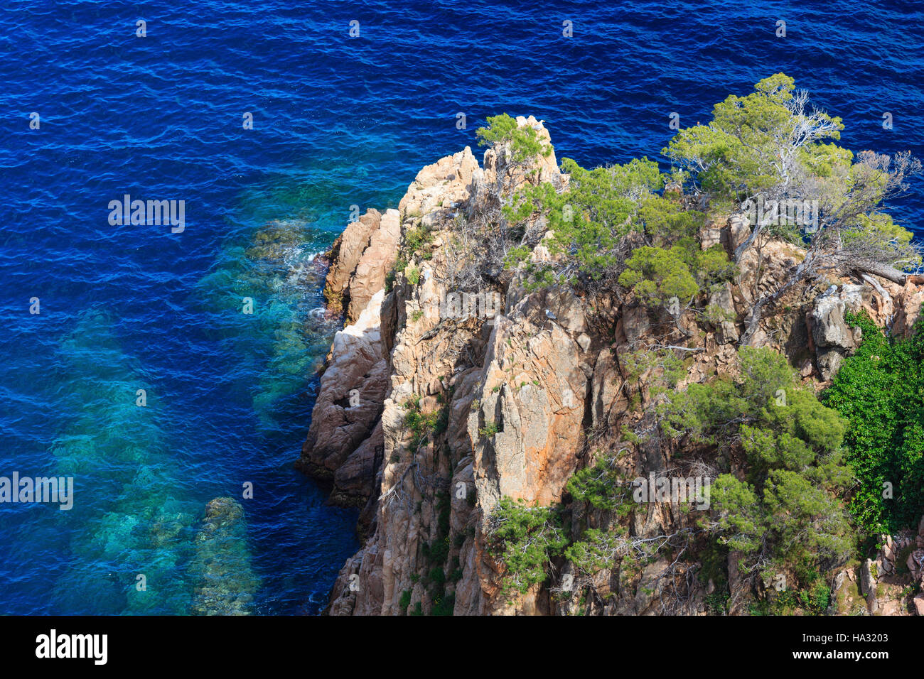 Summer rocky coast view with clear sea water and trees on cliff. Coastline between Barcelona and Palamos (Coasta Brava, Catalonia, Spain). Stock Photo