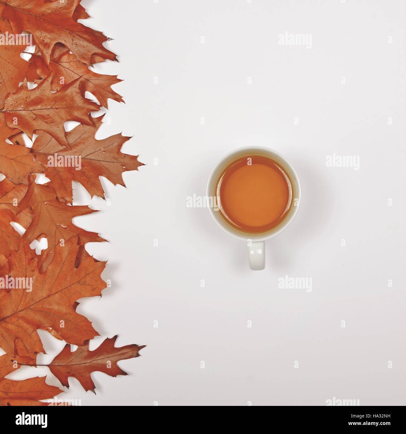 Perfect cup of tea on white background with autumn leaves - Flat lay of ...