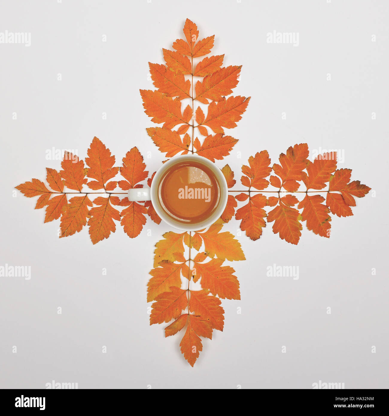Perfect cup of tea on white background with autumn leaves - Flat lay of ...