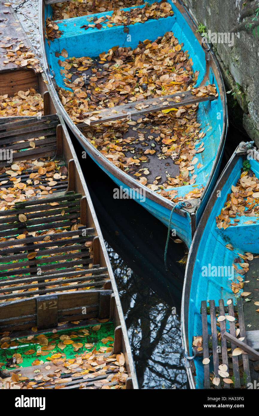 Fallen autumn leaves in rowing boats and punts moored on the river cherwell in Oxford. Oxfordshire, England Stock Photo