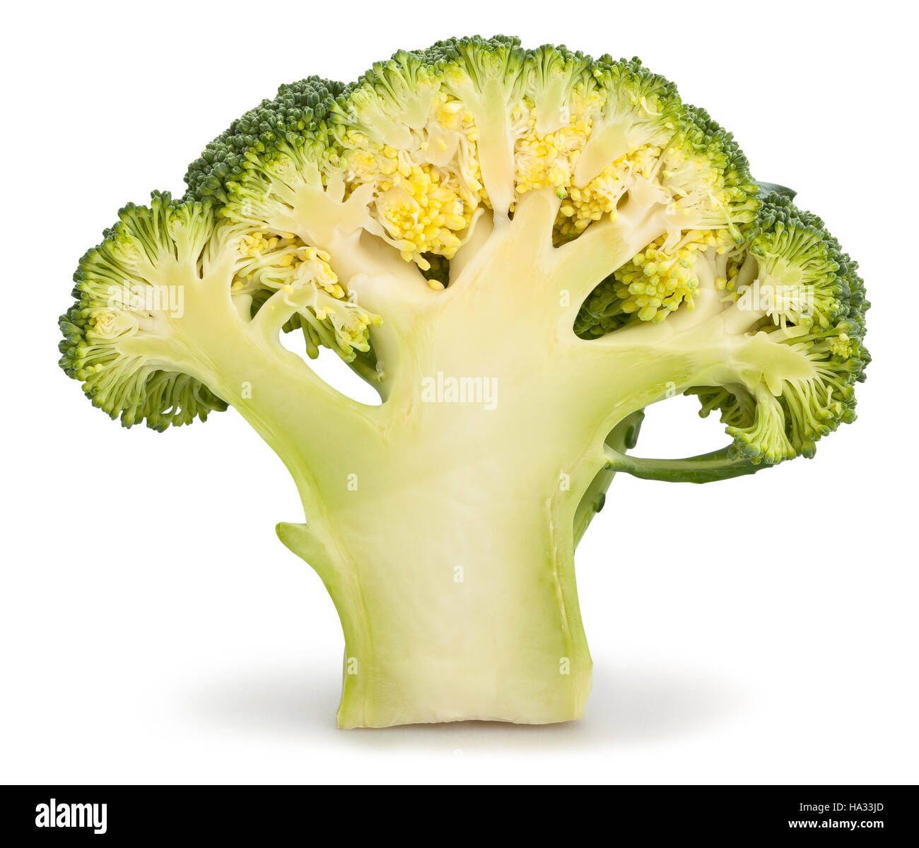 halved broccoli isolated Stock Photo