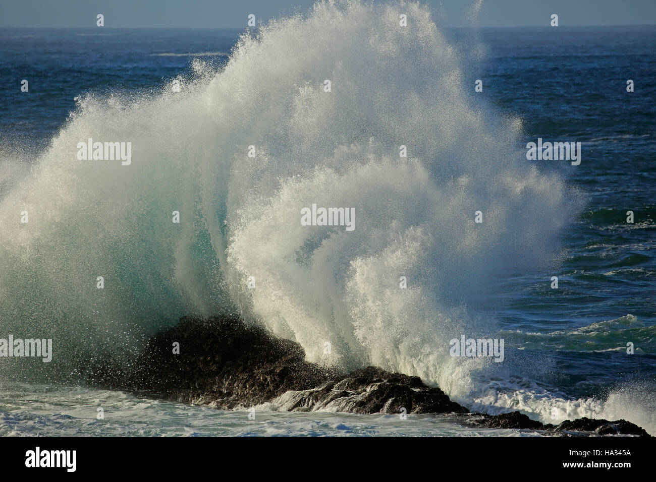 Seascape with large breaking wave and water spray Stock Photo