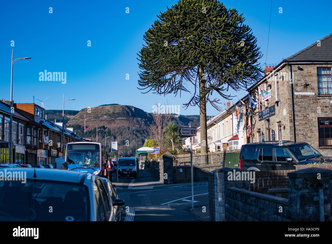 View of Penpych from Treherbert High Street. The Bute public house and it's famous monkey puzzle tree Stock Photo