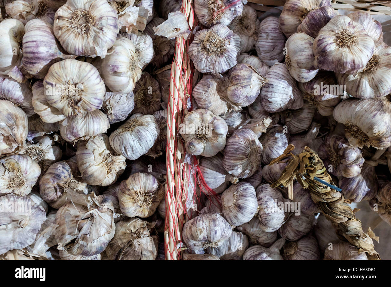 Garlic ( Allium sativum) on sale,Borough Market,London,UK Stock Photo