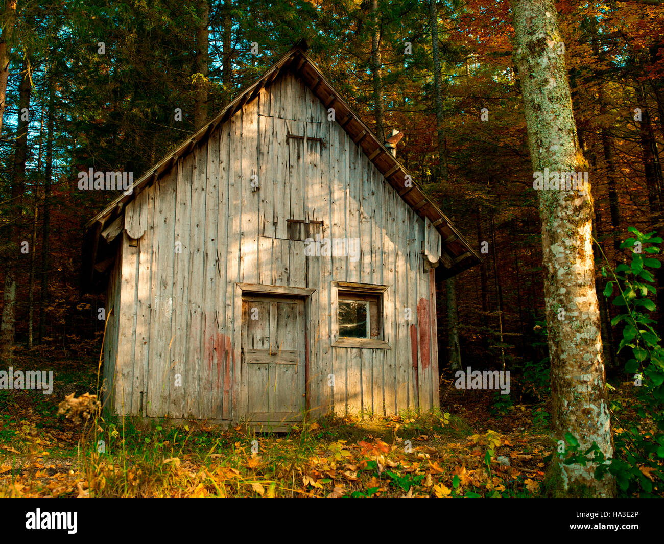 Old cabin in the woods, Nature Park Eisenwurzen, Austria, Europe Stock Photo