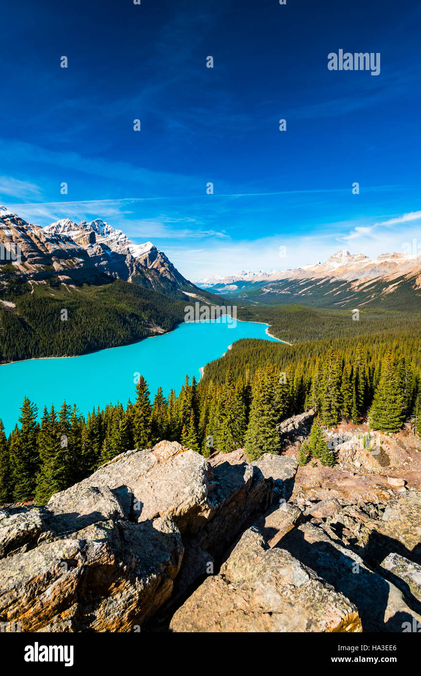 Vibrant Blue Peyto Lake from Bow summit Banff National Park, Alberta ...