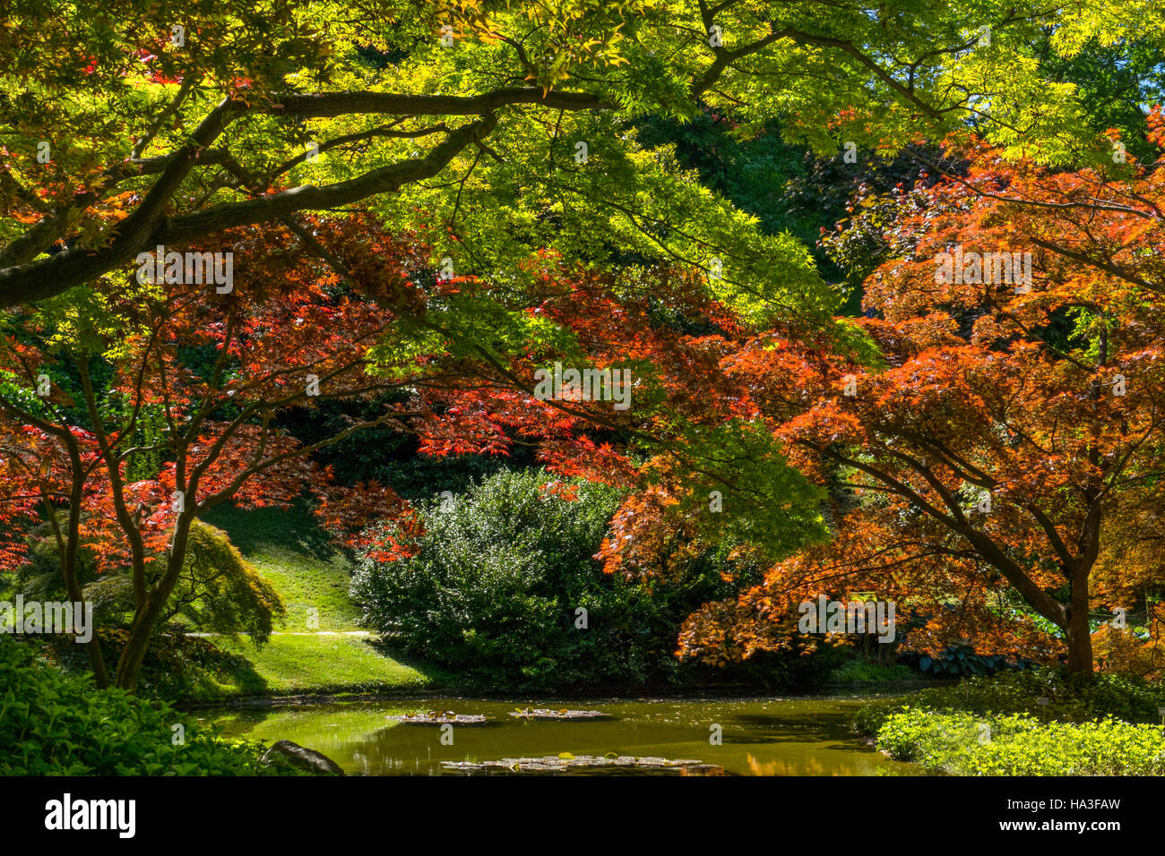 Bellagio Melzi Gardens Lake Como Italy Stock Photo