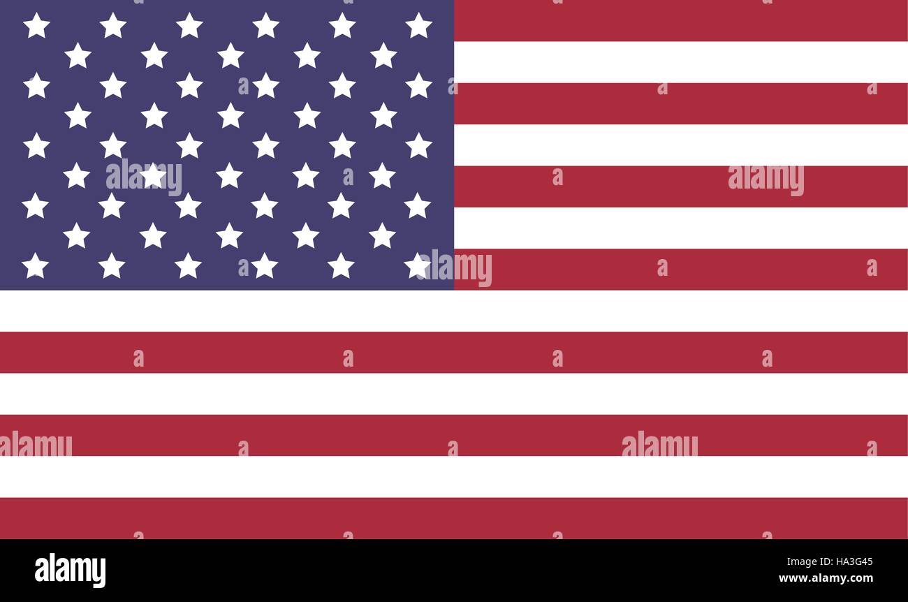 United States flag icon flat vector illustration Stock Vector Image ...