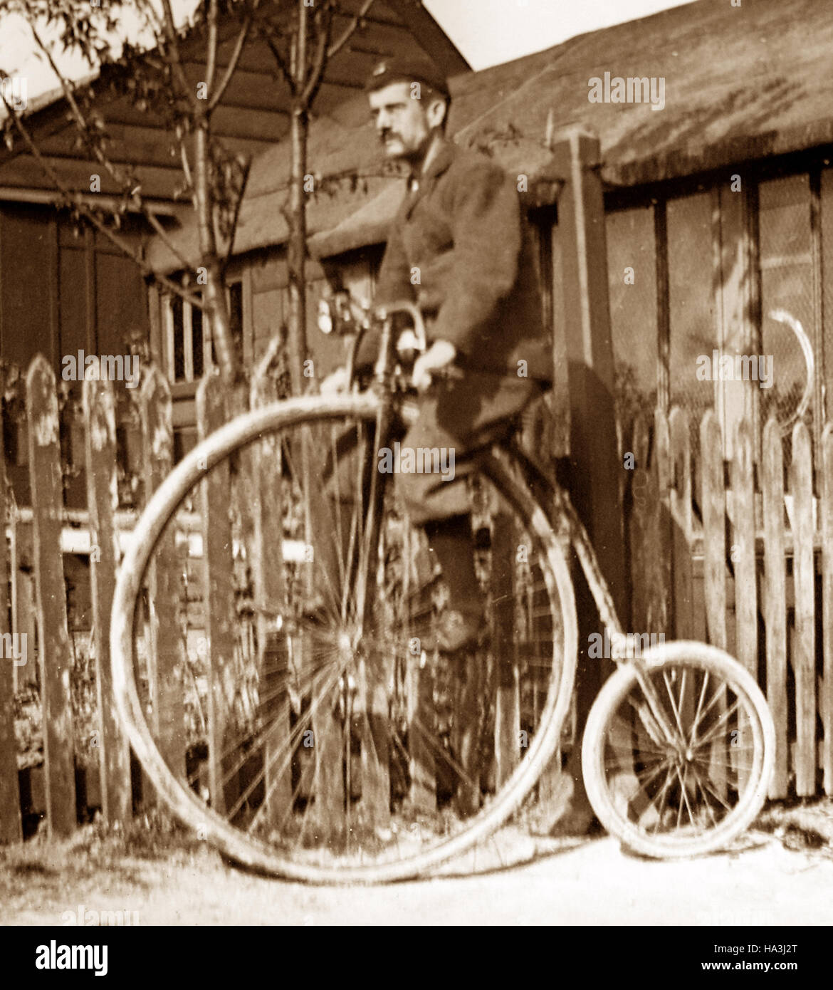 victorian penny farthing