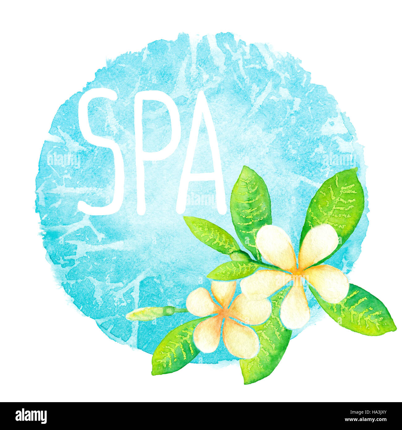 Frangipani flowers and spa lettering on the blue spot background watercolor painting Stock Photo