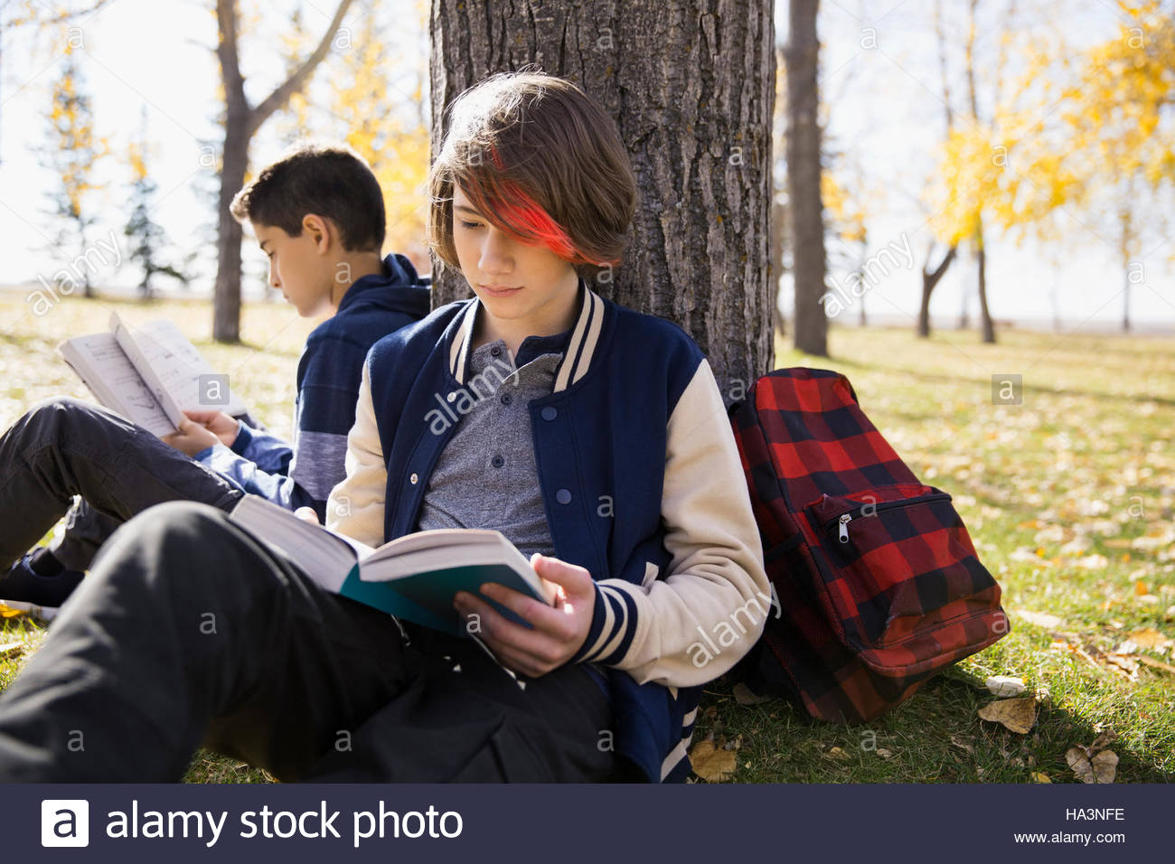 Tween boys reading books leaning on tree trunk in autumn park Stock Photo