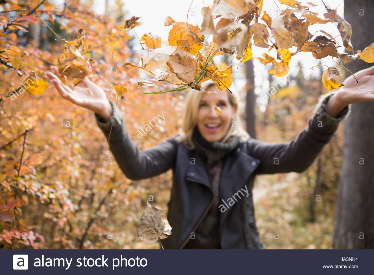 Woman throwing autumn leaves in woods Stock Photo Alamy