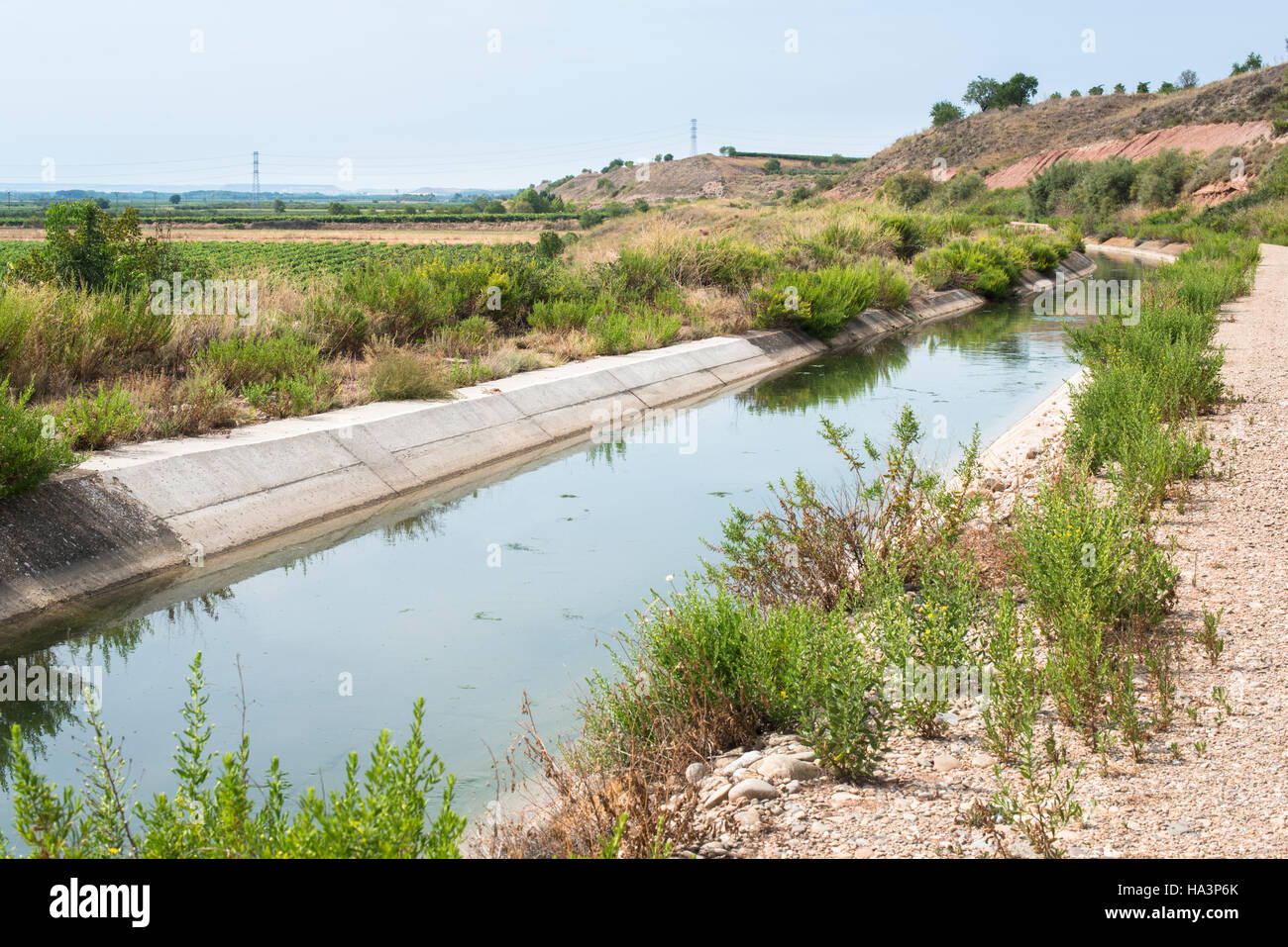 Irrigation canal and green plants Stock Photo