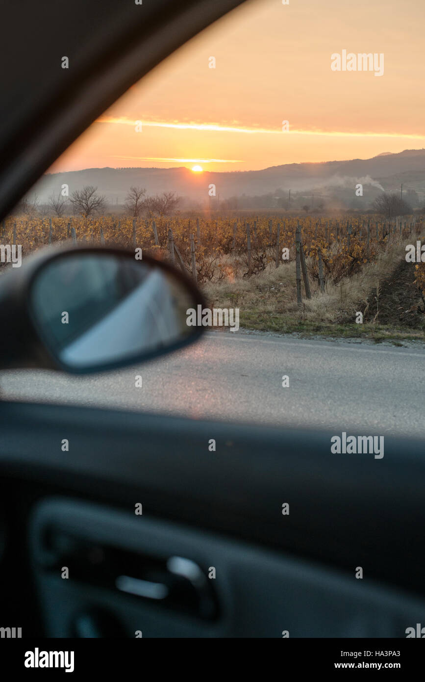 Wine tourism. Vineyards and car on the road at sunrise. Autumn vineyards. Stock Photo