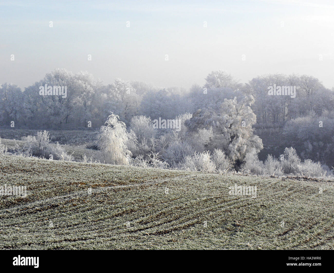 First winter day in the countryside,Croatia,Europe,3 Stock Photo