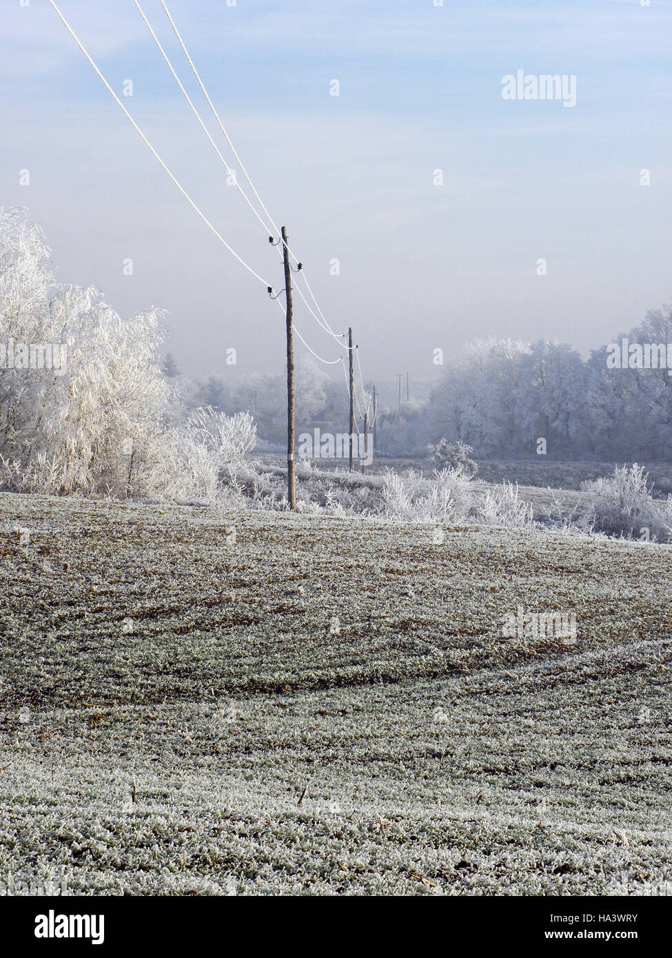 First winter day in the countryside,Croatia,Europe,4 Stock Photo