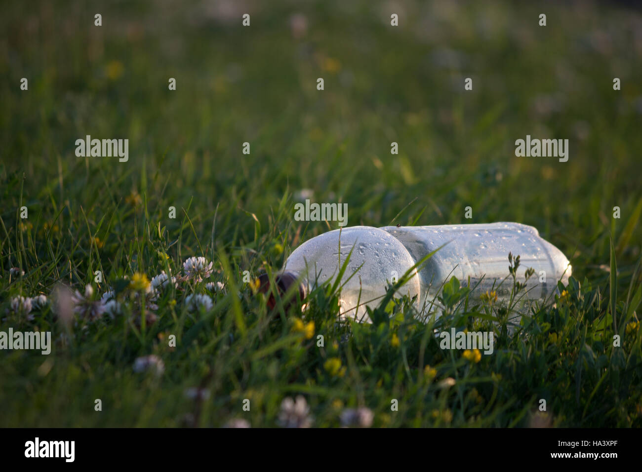 ecology concept, plastic bottle on the green grass Stock Photo - Alamy