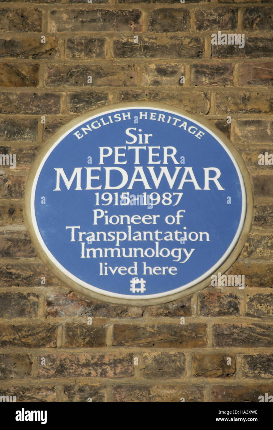 Sir peter medawar hi-res stock photography and images - Alamy