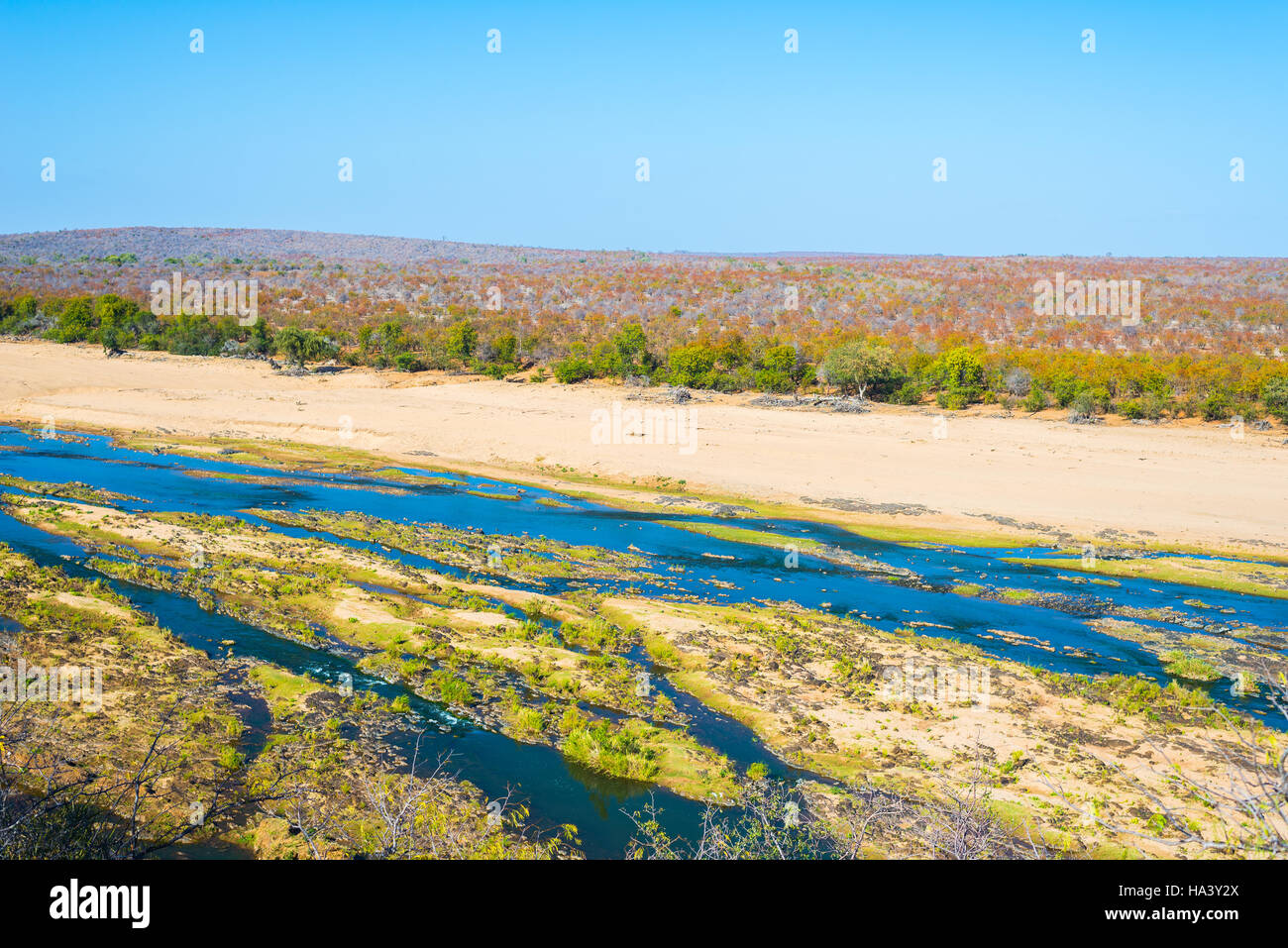 Olifants river, scenic and colorful landscape with wildlife in the Kruger National Park, famous travel destination in South Africa. Clear blue sky. Stock Photo
