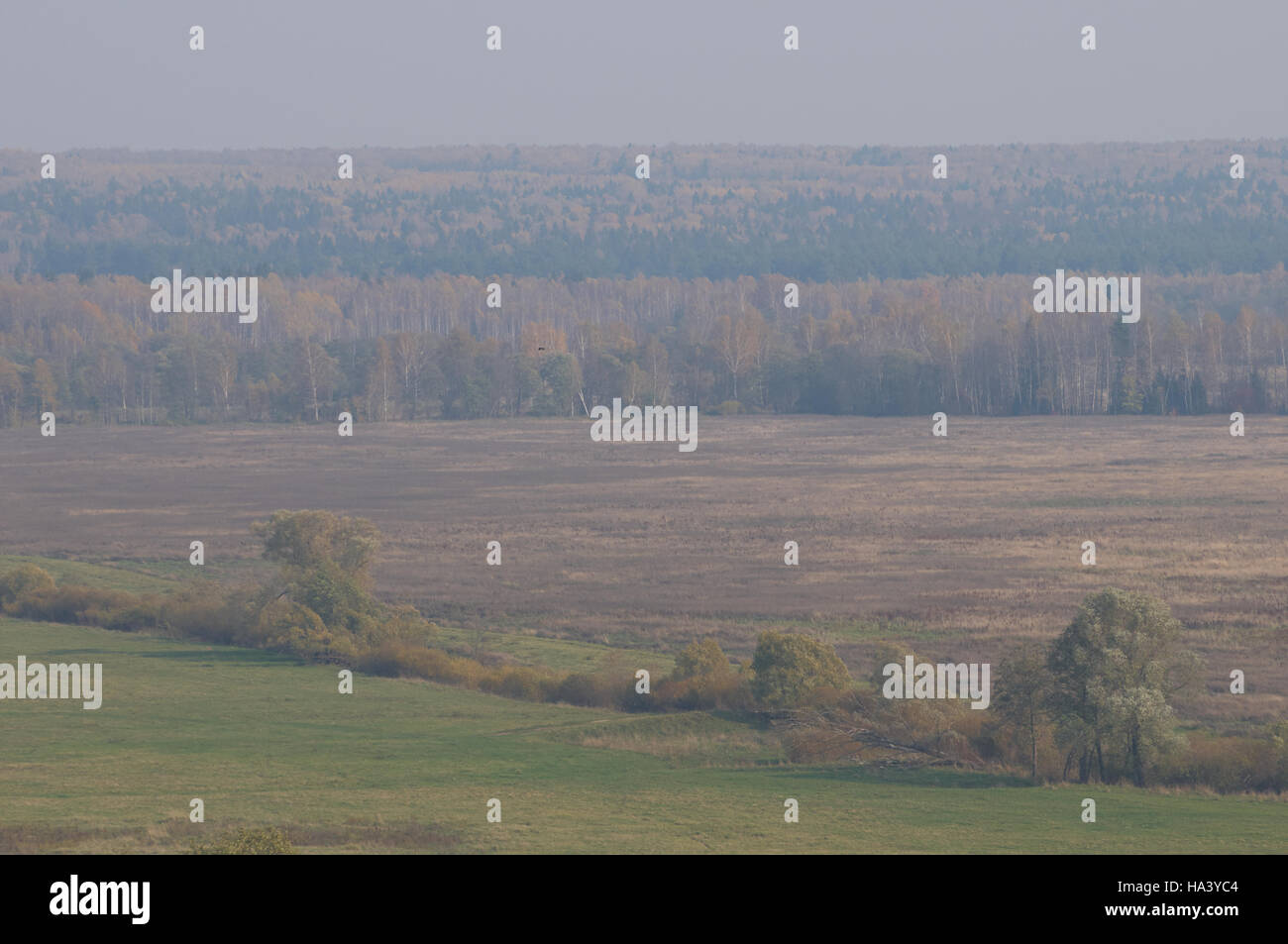 Autumnal view over fields and forest in Vorobyovo, Kaluga region, Russia Stock Photo