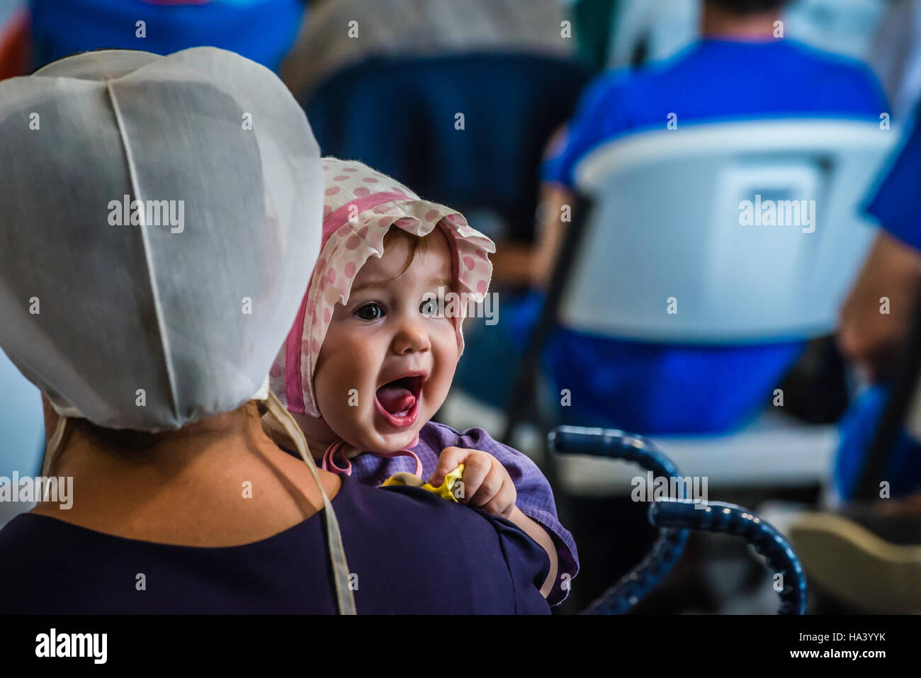 Lancaster county Hospice fund raising auction, Stock Photo