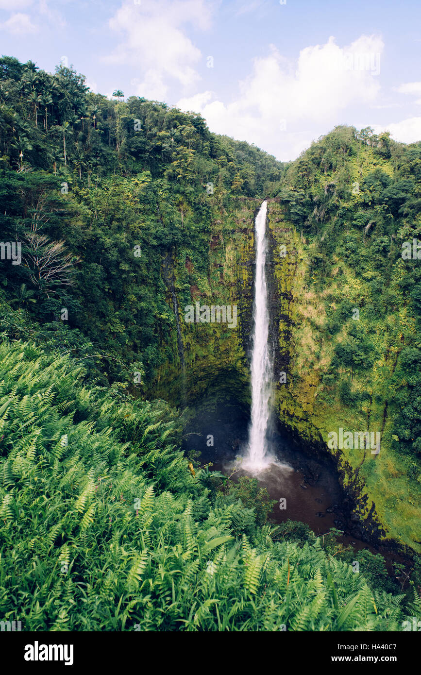Akaka falls of Hawai'i island Stock Photo