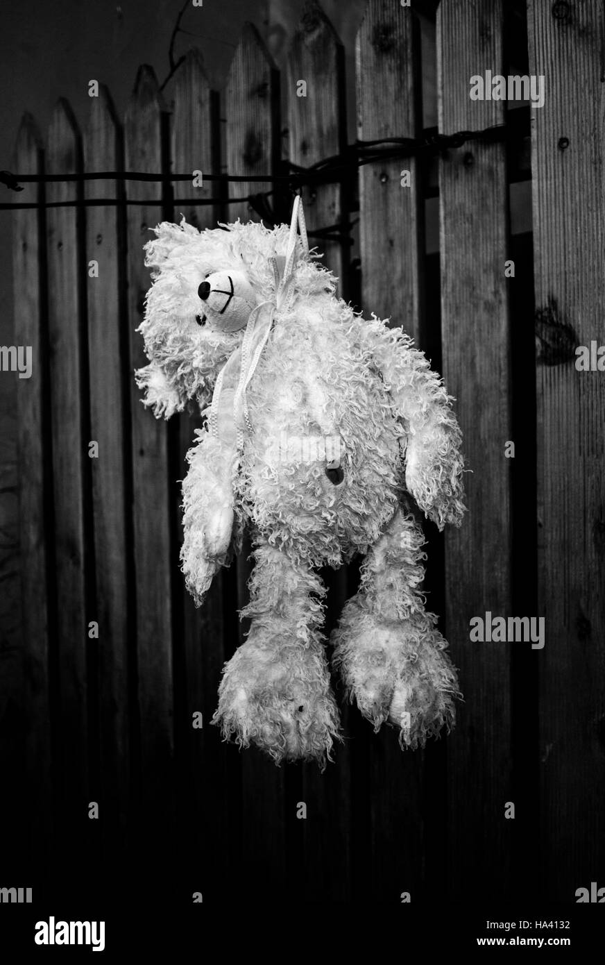 hanging teddy