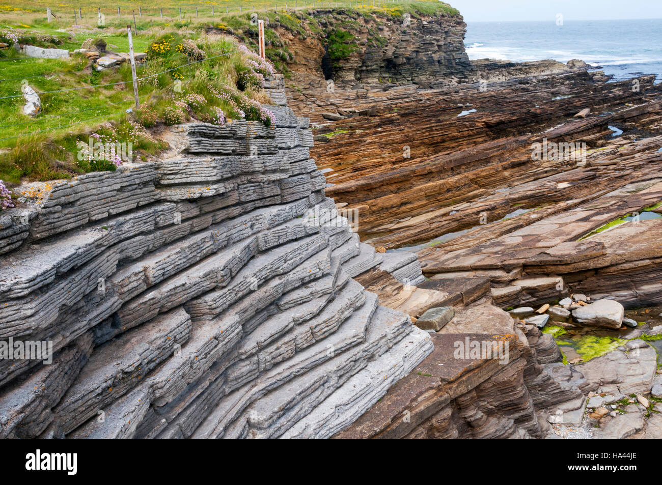 Concrete coast protection moulded to mimic surrounding geology at the Brough of Birsay, Orkney. Stock Photo