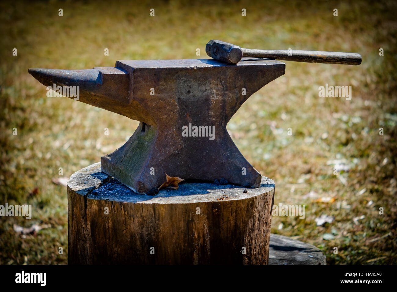 Anvil and hammer Stock Photo Alamy