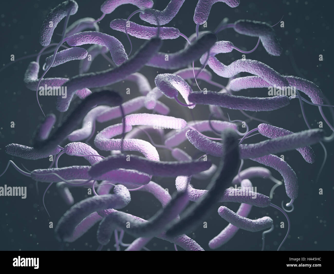 Vibrio cholerae, Gram-negative bacteria. 3D illustration of bacteria with flagella. Stock Photo