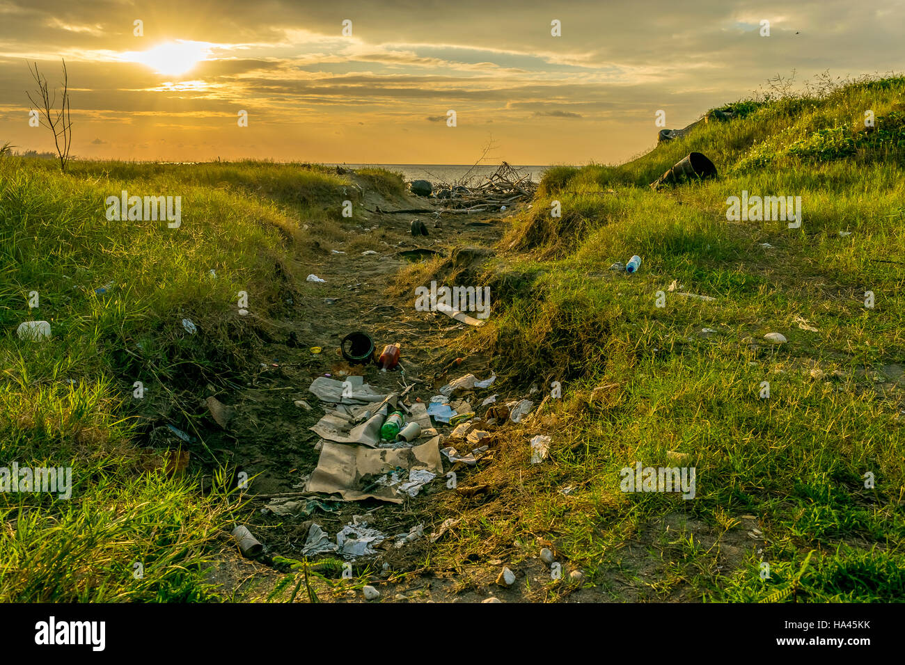 Beach Pollution Stock Photo