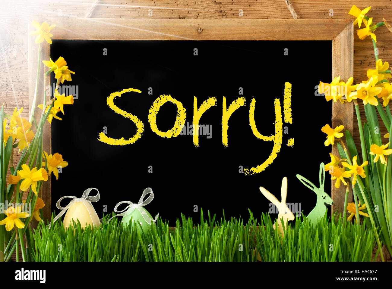 Sorry excuse spring easter flower hi-res stock photography and images -  Alamy