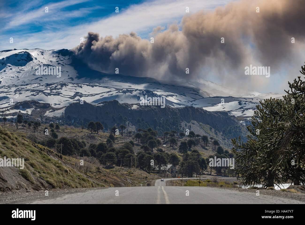 Copahue Volcano / Volcán Copahue Stock Photo