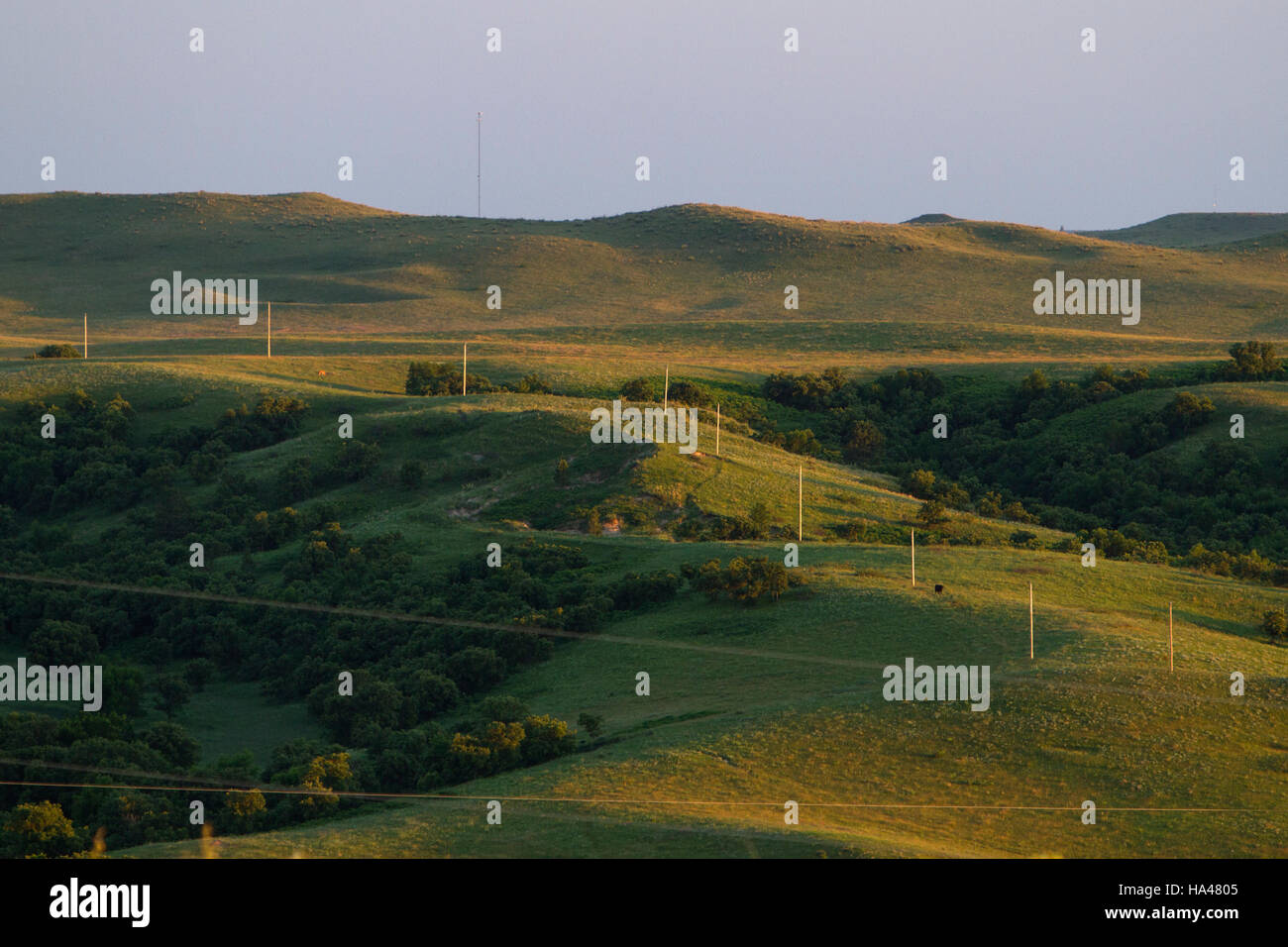 Colonel james forsyth hires stock photography and images Alamy