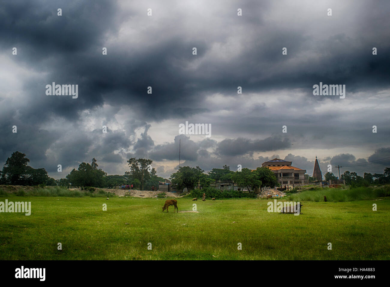 Bangladesh photographer hi-res stock photography and images - Alamy