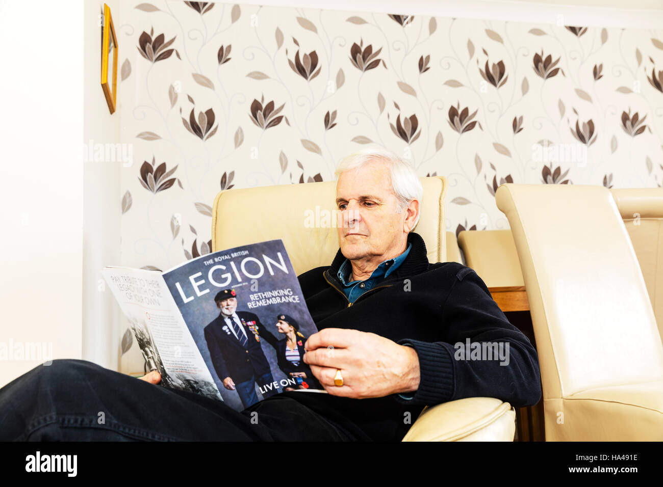 OAP reading British legion magazine man reading sat down relaxing looking at magazine at home UK England GB Stock Photo