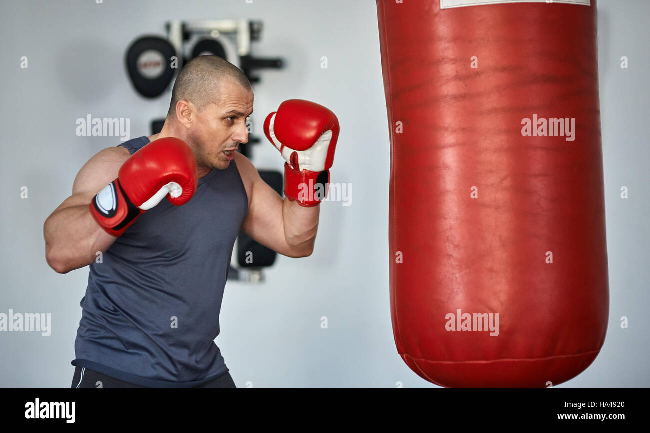 Boxer training with punch bags in a gym Stock Photo - Alamy