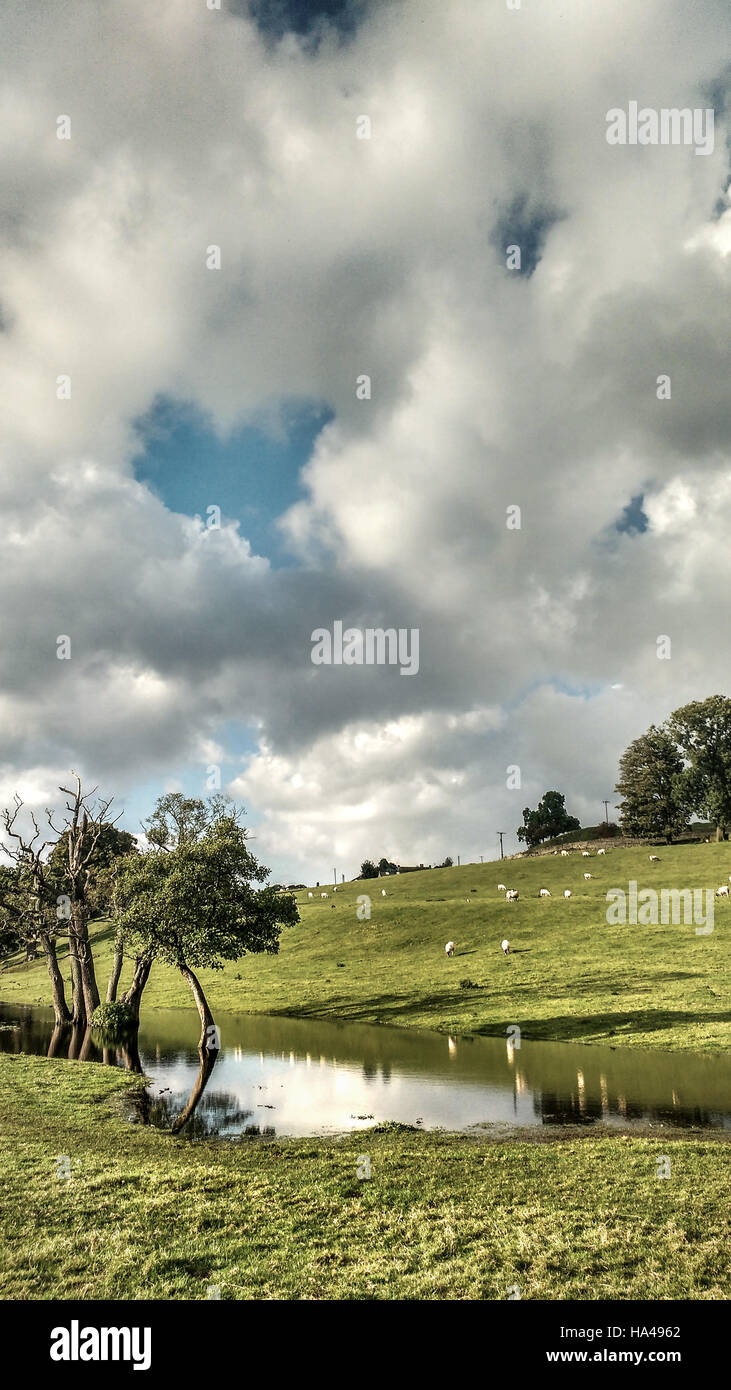 a beautiful calming bright landscape with hills,trees,and big puddle Stock Photo
