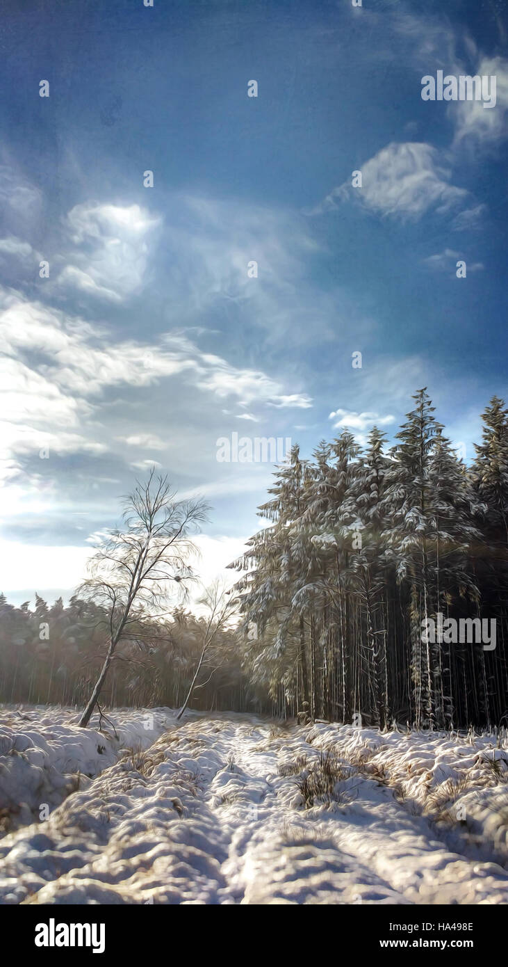Beautiful winter landscape tree hi-res stock photography and images - Alamy