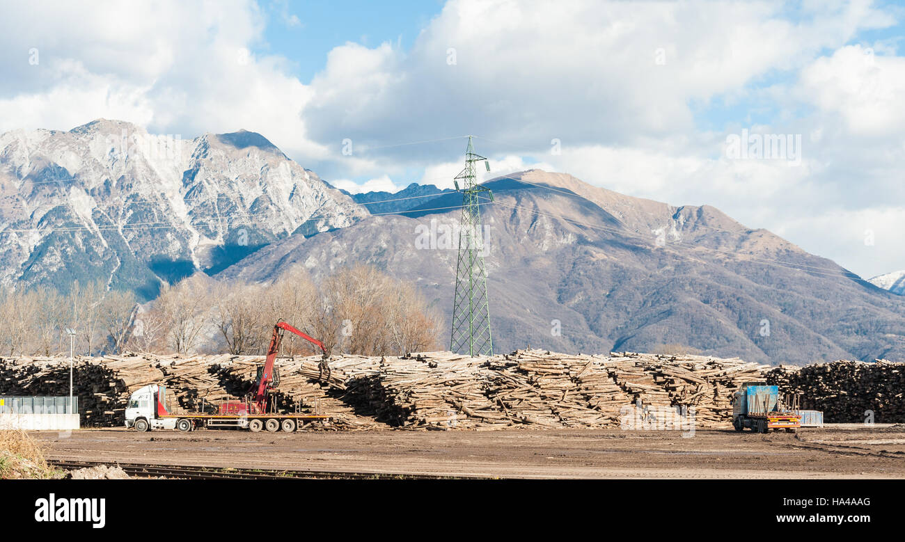 Storage of logs for the wood industry.   A crane loads trucks for transporting logs, in the background the mountains. Stock Photo