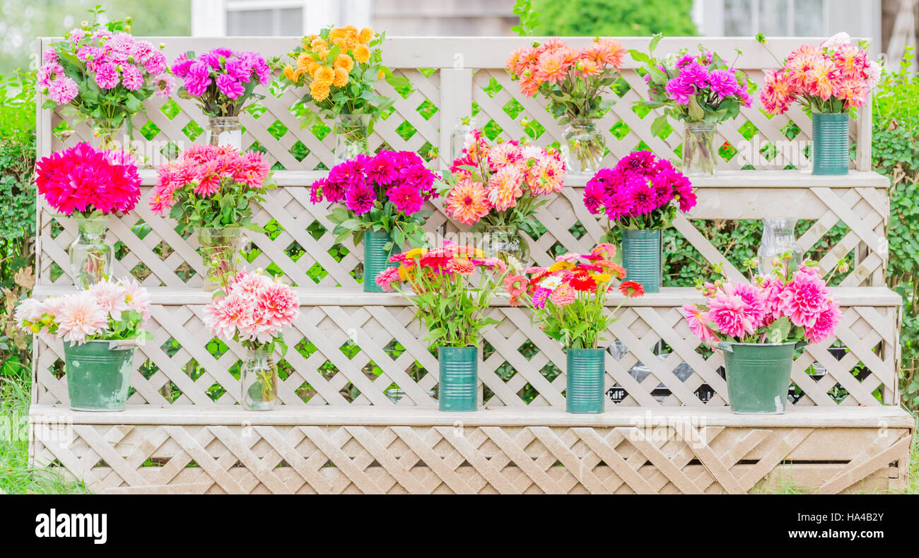 fresh cut flowers in metal tins for for sale at a roadside stand Stock Photo