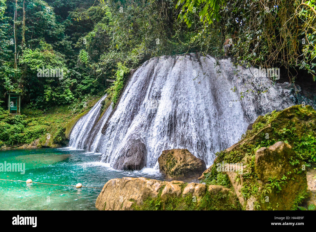 Jamaika, reach fall waterfall Stock Photo