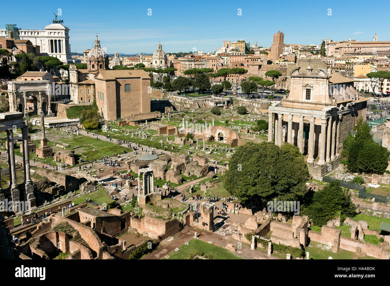 Roman forum ancient ruins in rome, Italy Stock Photo - Alamy