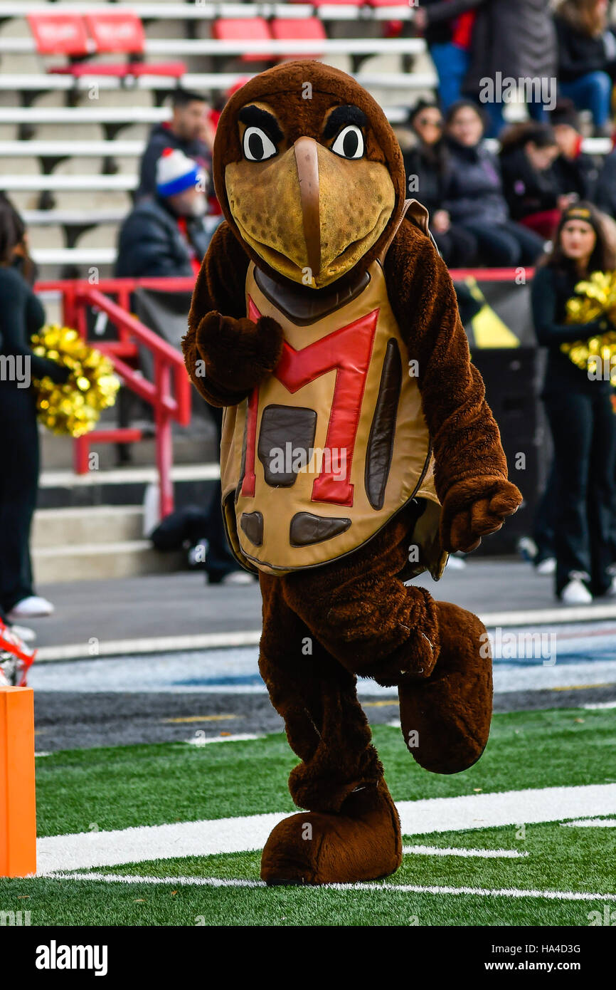 College Park, Maryland, USA. 26th Nov, 2016. The University of Maryland mascot Testudo strikes a