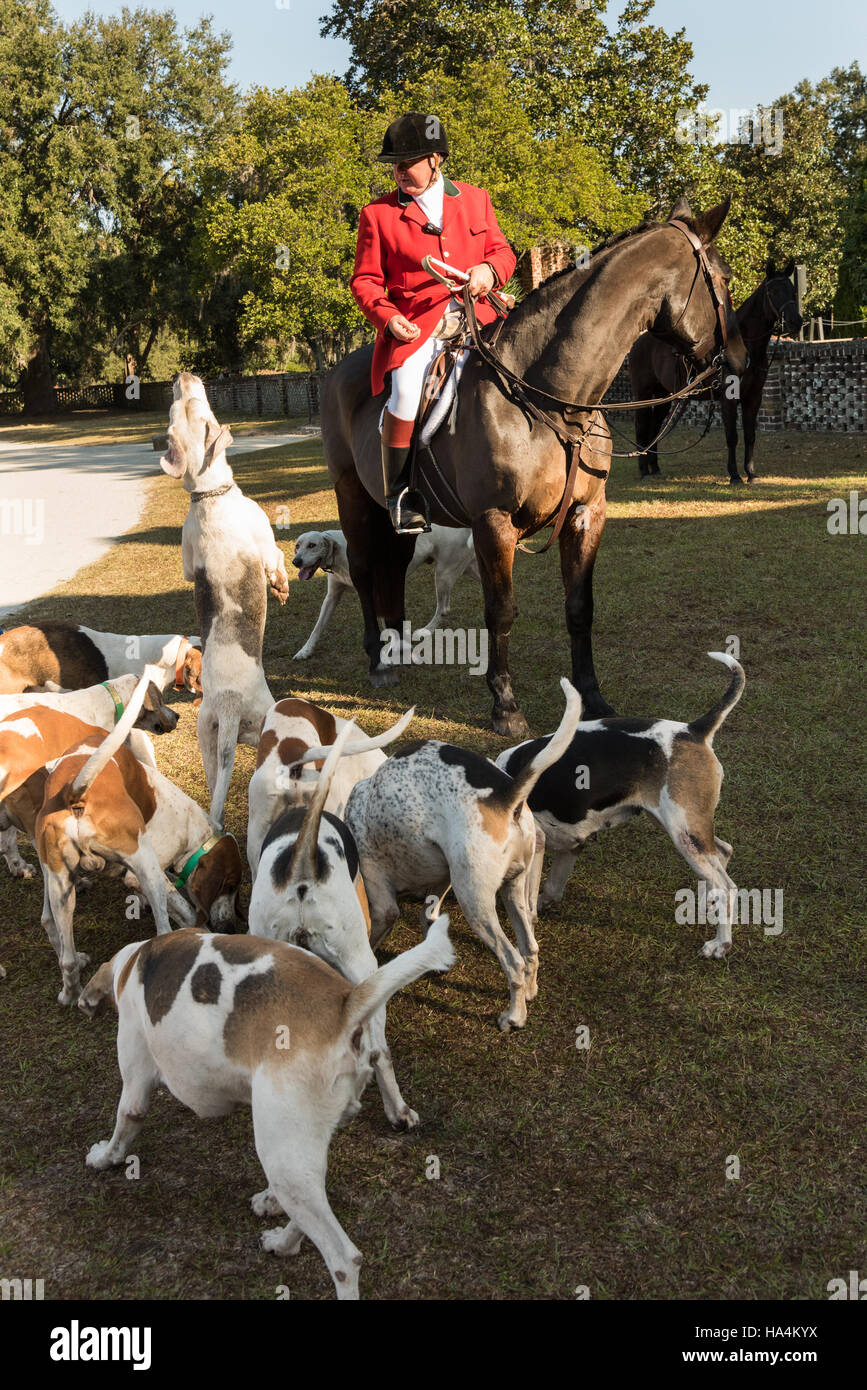 Middleton Hunt Charleston, United States Of America. 27th Nov, 2016. Huntsman Willie ...