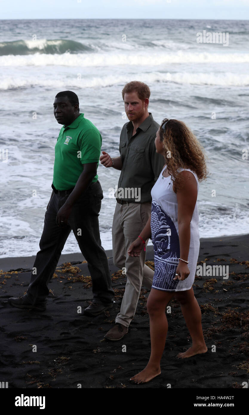 Prince Harry with Roseman Adams who is a leading protector of the iconic marine animals that come ashore to lay their eggs at a Turtle Conservation Project at Colonarie Beach, Saint Vincent and the Grenadines, during the second leg of his Caribbean tour. Stock Photo