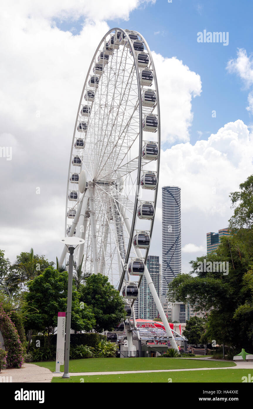 Wheel Of Brisbane Ferris Wheel South Bank Parklands South Bank