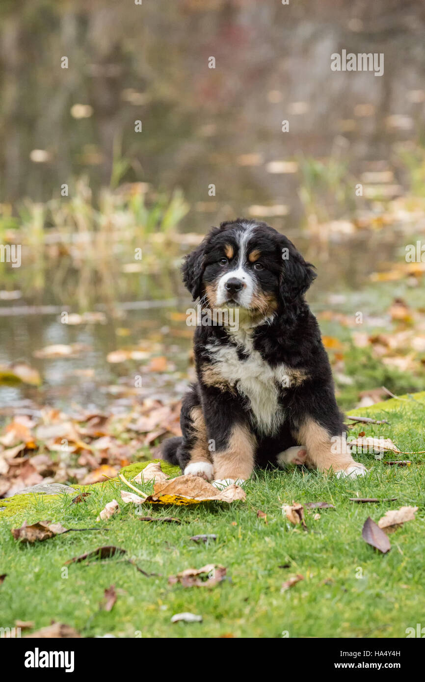 Sitting at a pond hires stock photography and images Alamy