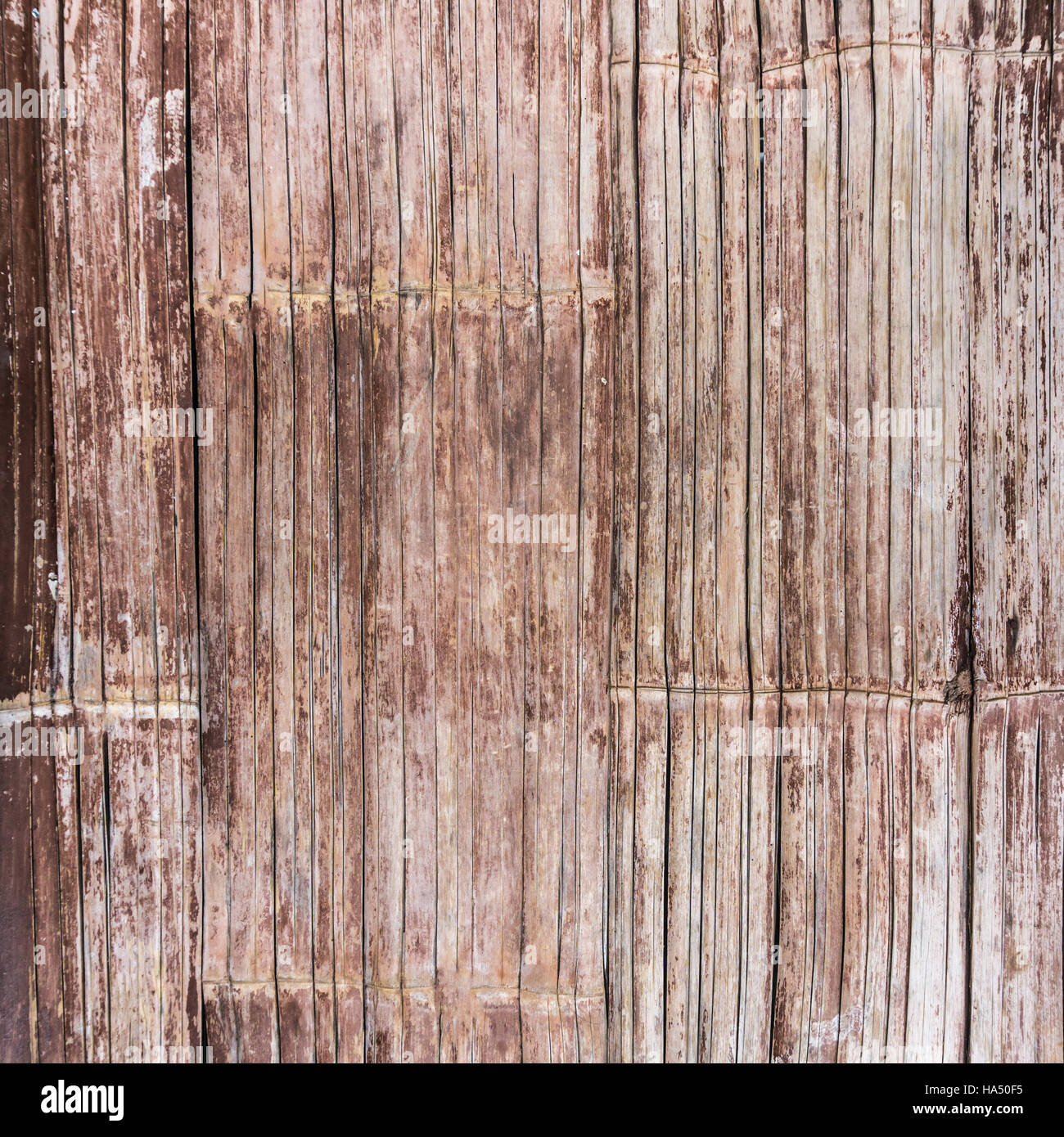 High Resolution Wood Texture Background Stock Photo Alamy High Resolution Wood Texture Background Stock Photo Alamy