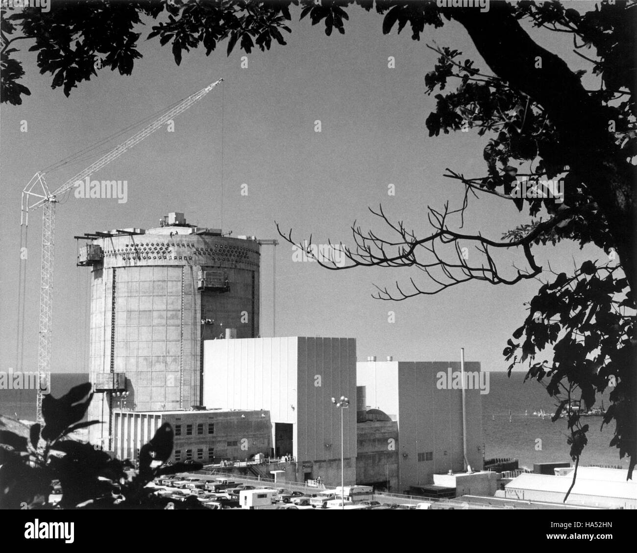 This image captures the intersection of nature, science, and politics ...
